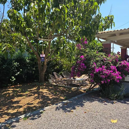 Villa Birdsing *